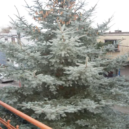 2c Klimatyzacja Mieszkanie Normalne Dwupokojowe Nieprzechodnie Halczyna 9 Alfa *